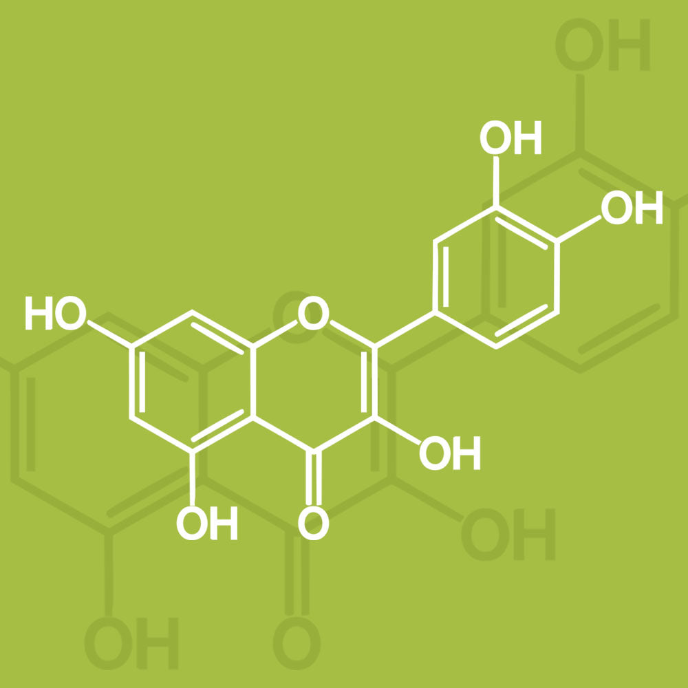 Quercetin: A Natural Ally Against Inflammation, Infection, and Oxidative Stress
