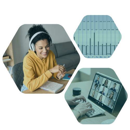 Dec 2, 2024 - Senior protocol, hypothyroidism, Cu Tx, Chornic stress, slow ox