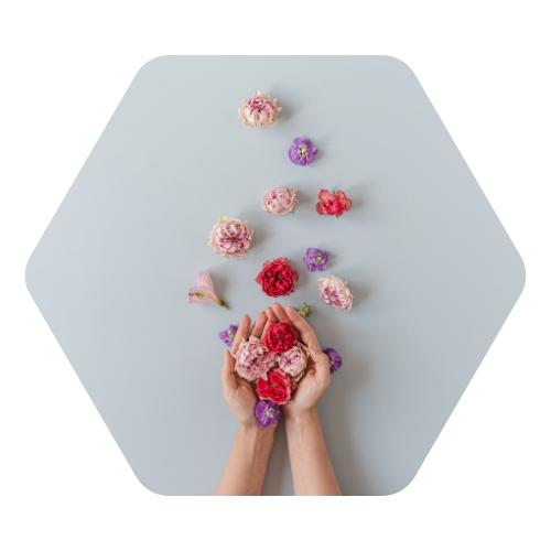 Creating formulas to support Preconception