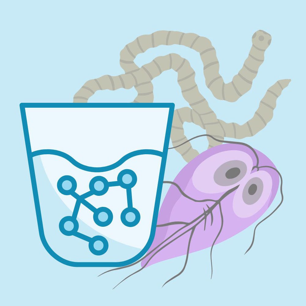 Zeolites & Parasites: A Multifaceted Antiparasitic Strategy